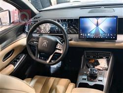 بي واي دي ‎سونغ برو DM-i